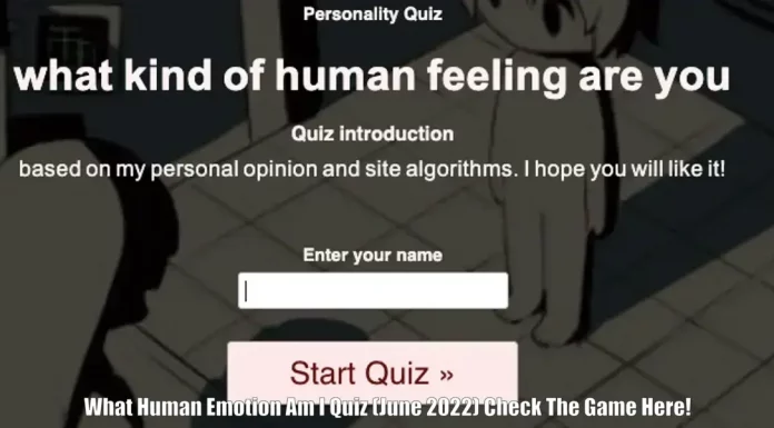 What Human Emotion Am I Quiz