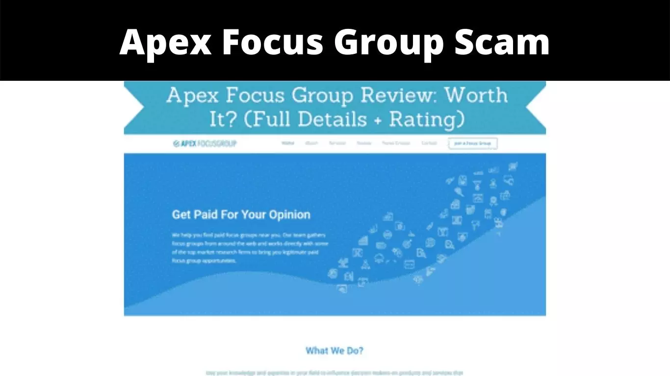 Apex Focus Group Scam