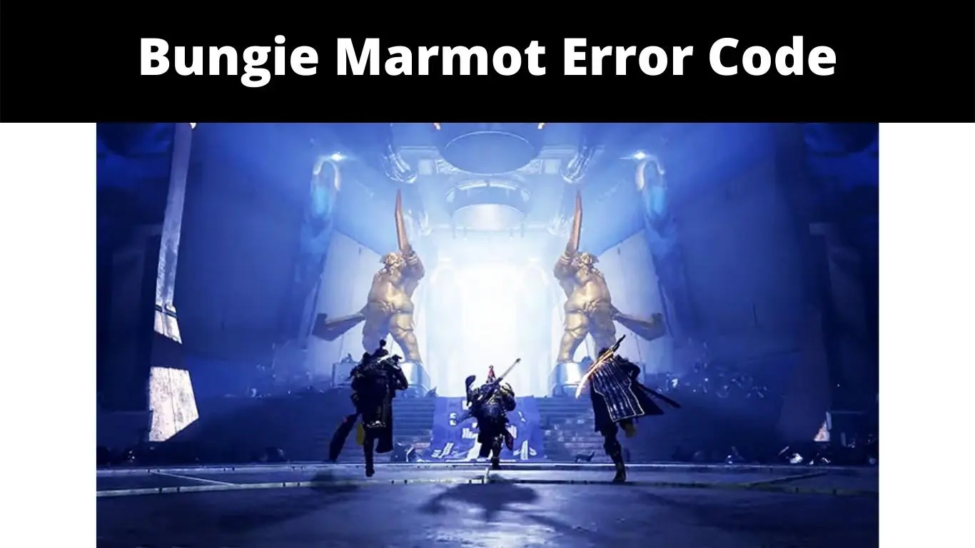 Bungie Marmot Error Code