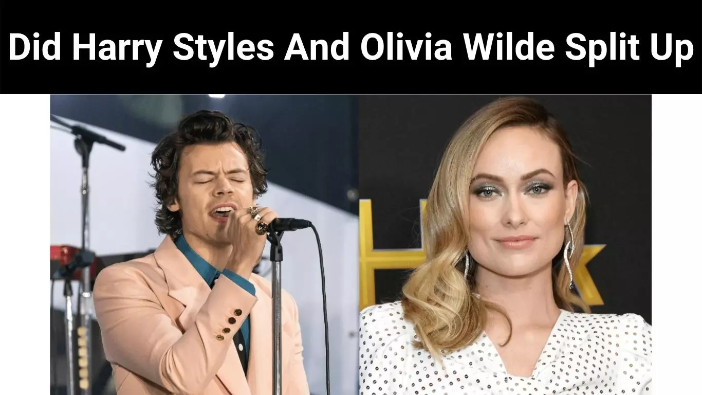 Did Harry Styles And Olivia Wilde Split Up