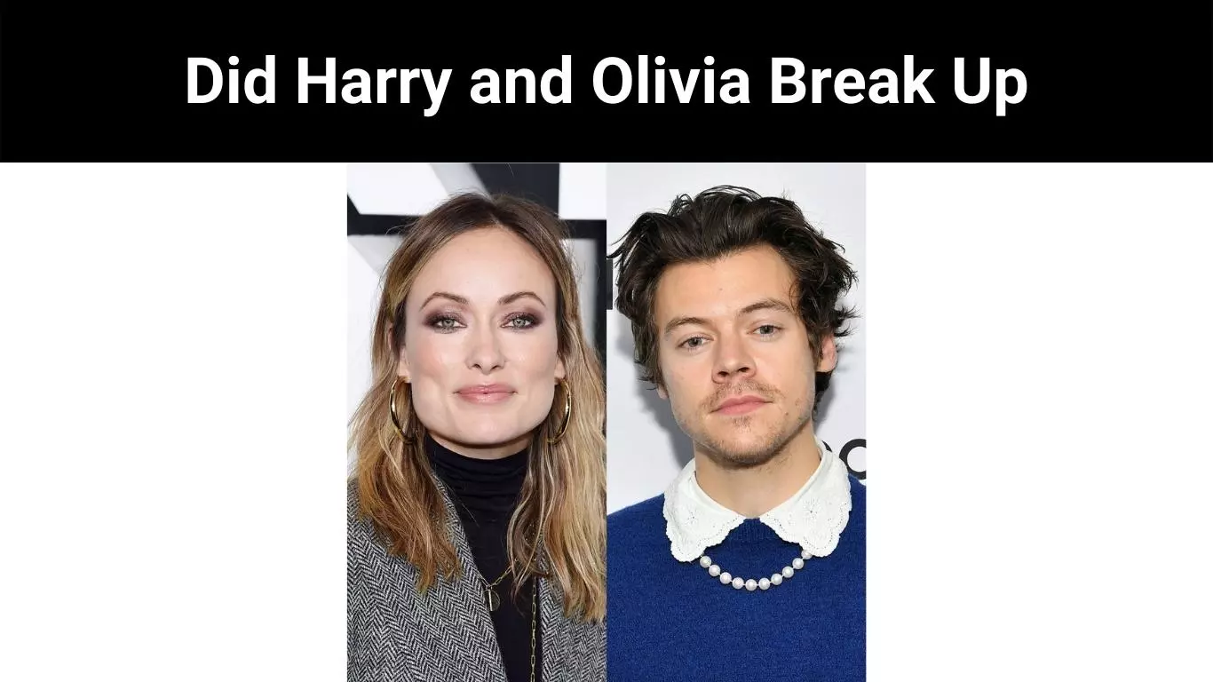 Did Harry and Olivia Break Up