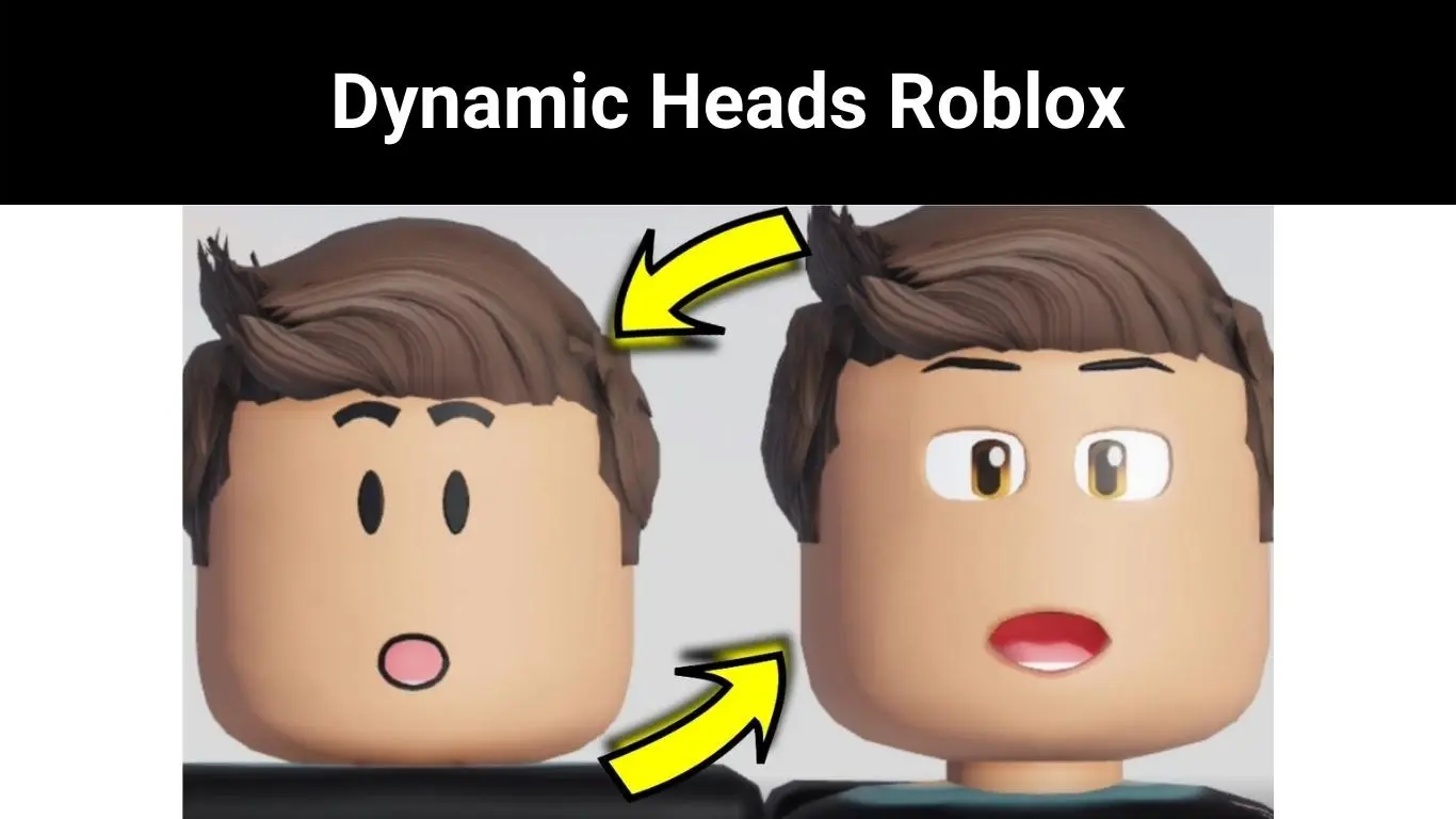 Dynamic Heads Roblox