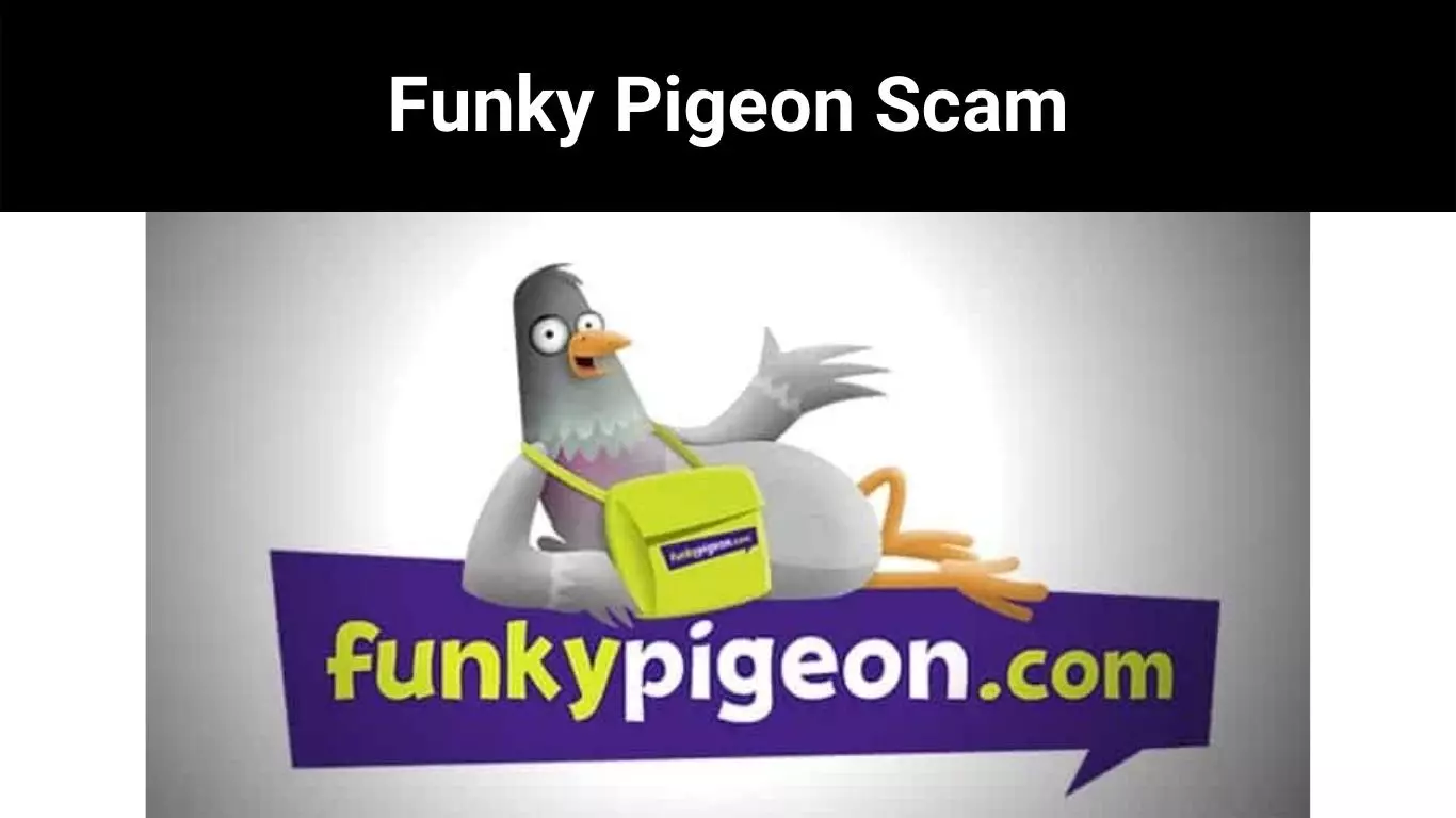 Funky Pigeon Scam