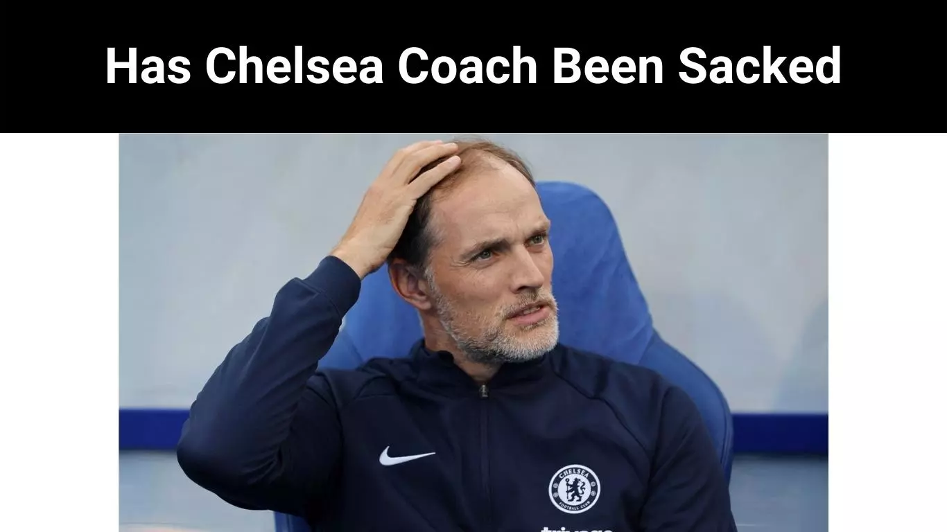 Has Chelsea Coach Been Sacked
