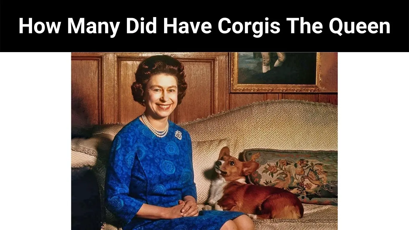 How Many Did Have Corgis The Queen