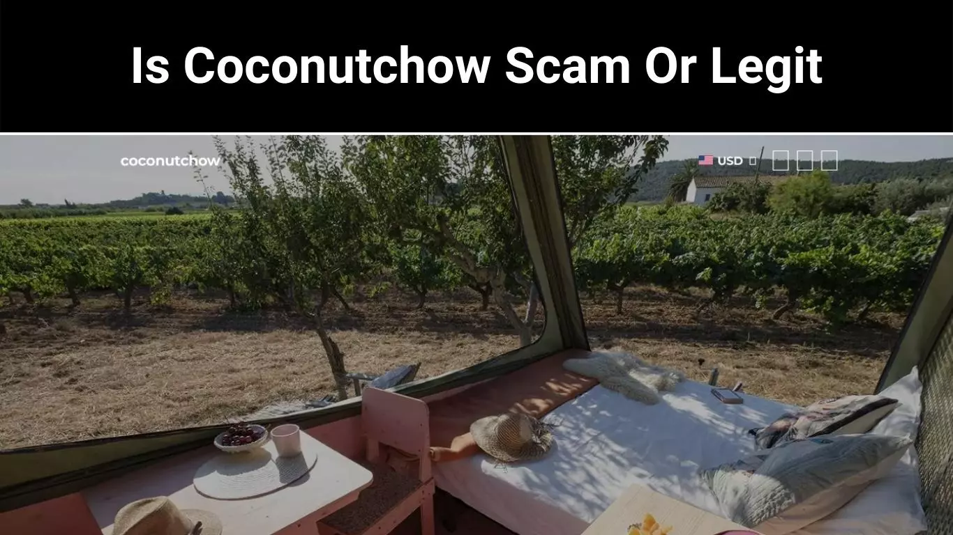 Is Coconutchow Scam Or Legit