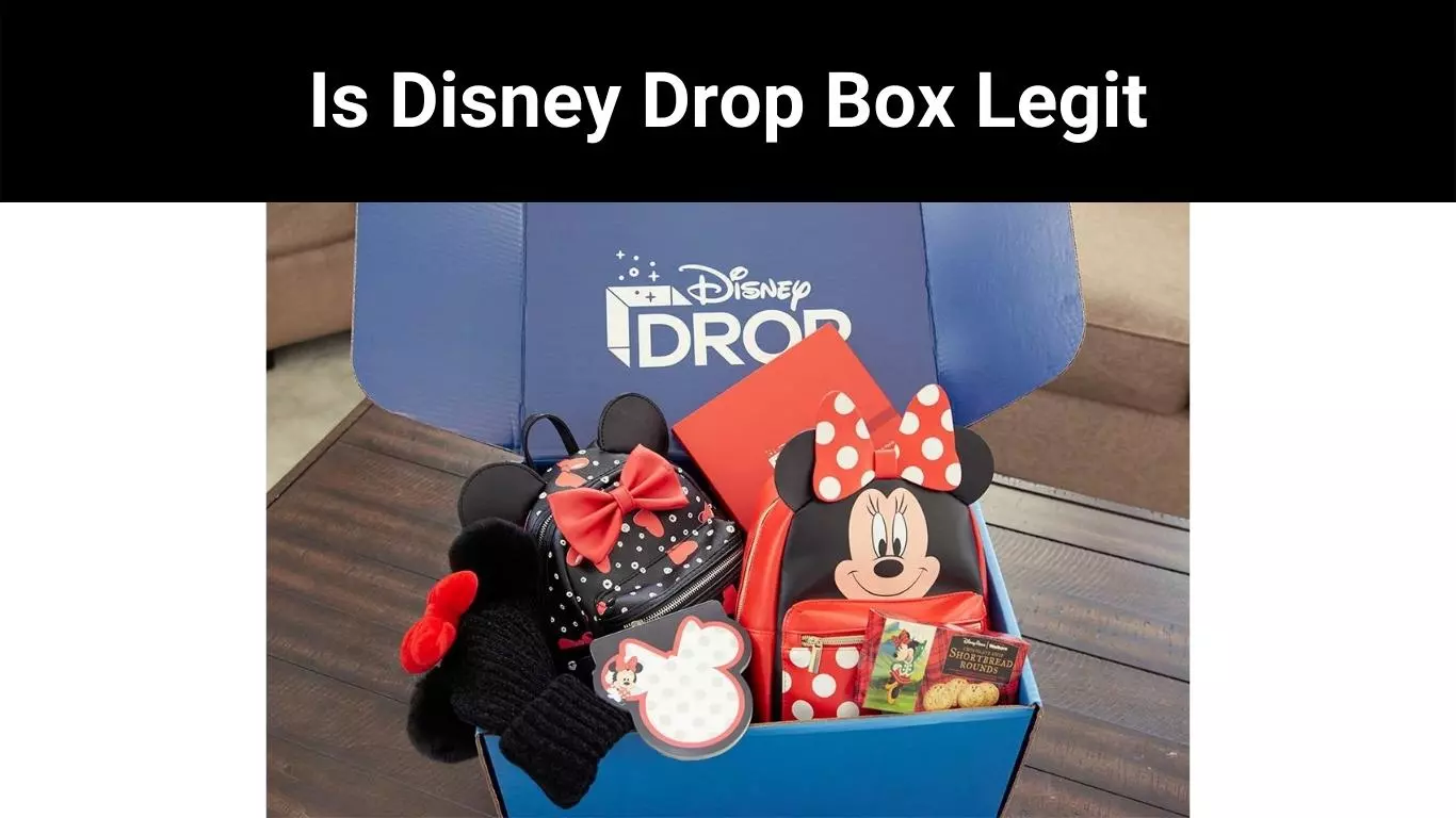 Is Disney Drop Box Legit