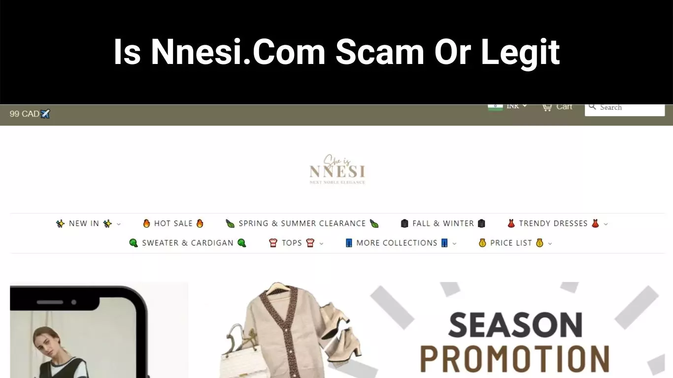 Is Nnesi.Com Scam Or Legit