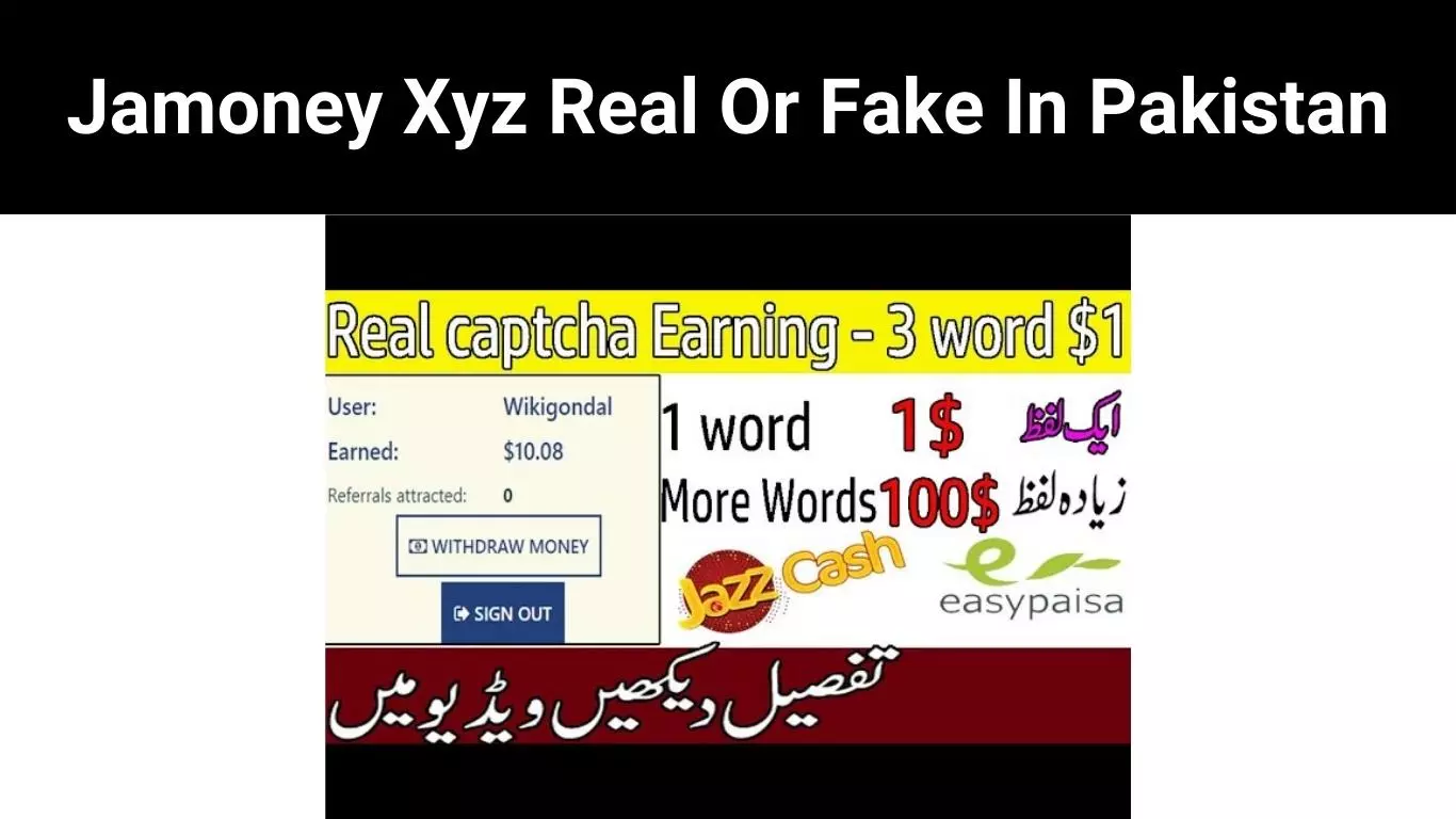 Jamoney Xyz Real Or Fake In Pakistan