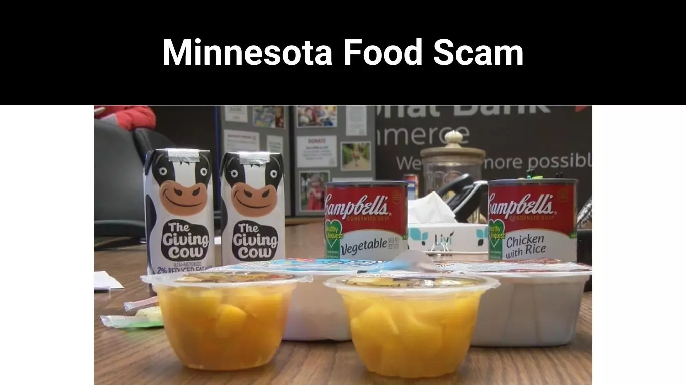 Minnesota Food Scam