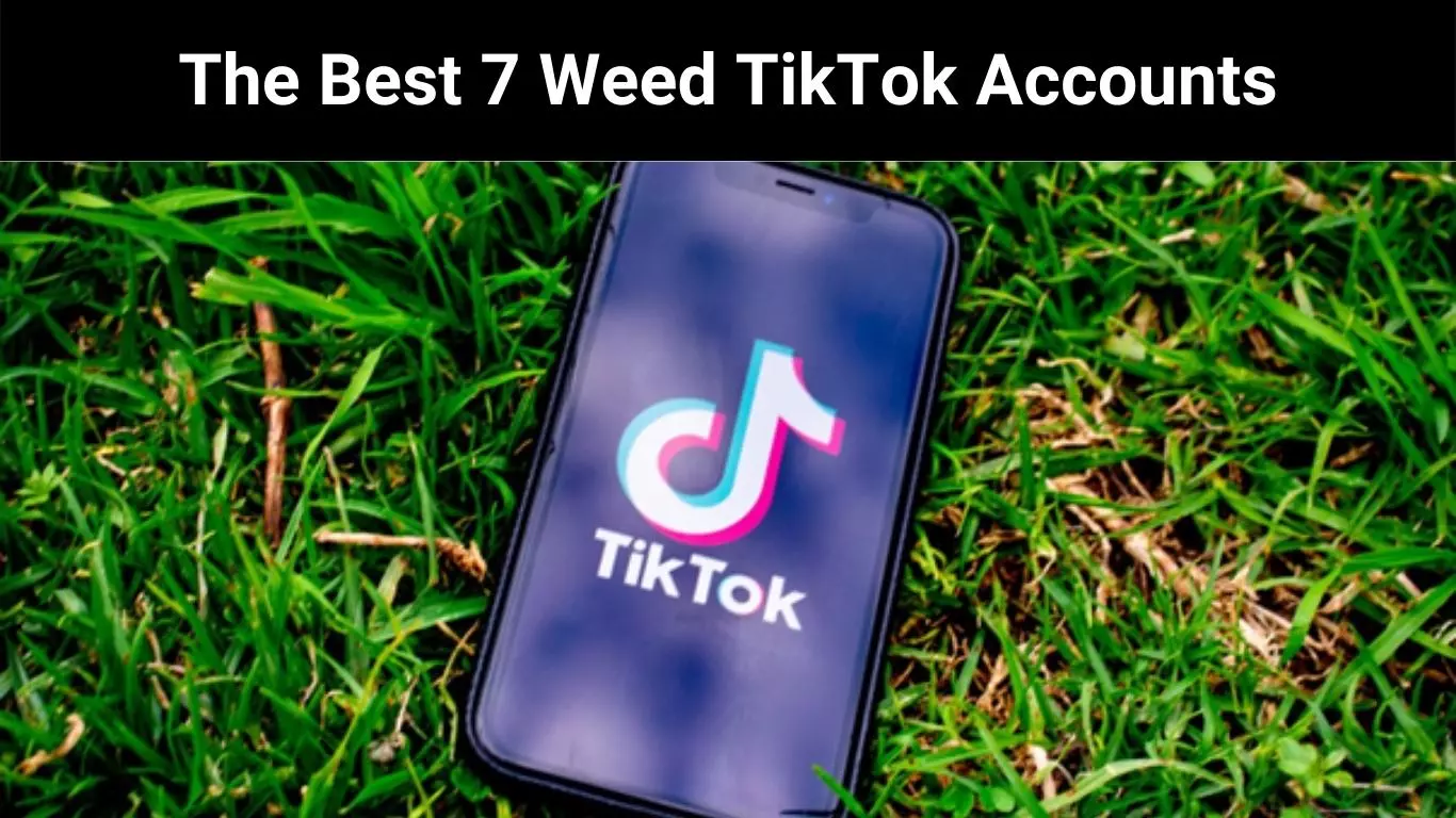 The Best 7 Weed TikTok Accounts