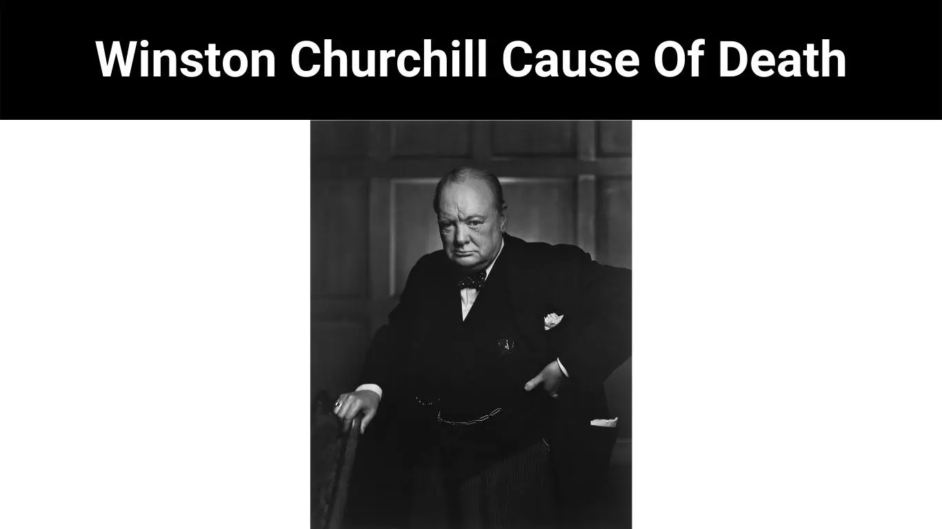 Winston Churchill Cause Of Death