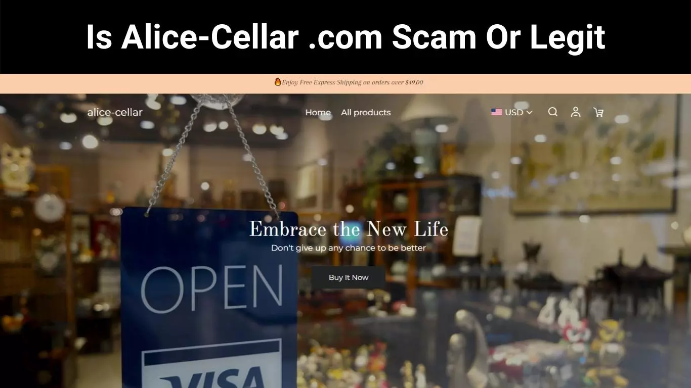 Is Alice-Cellar .com Scam Or Legit