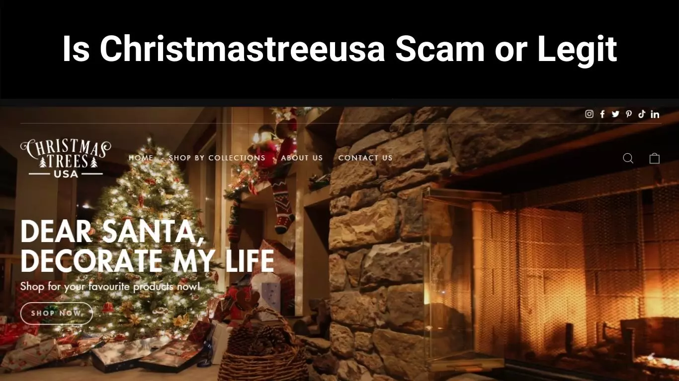 Is Christmastreeusa Scam or Legit