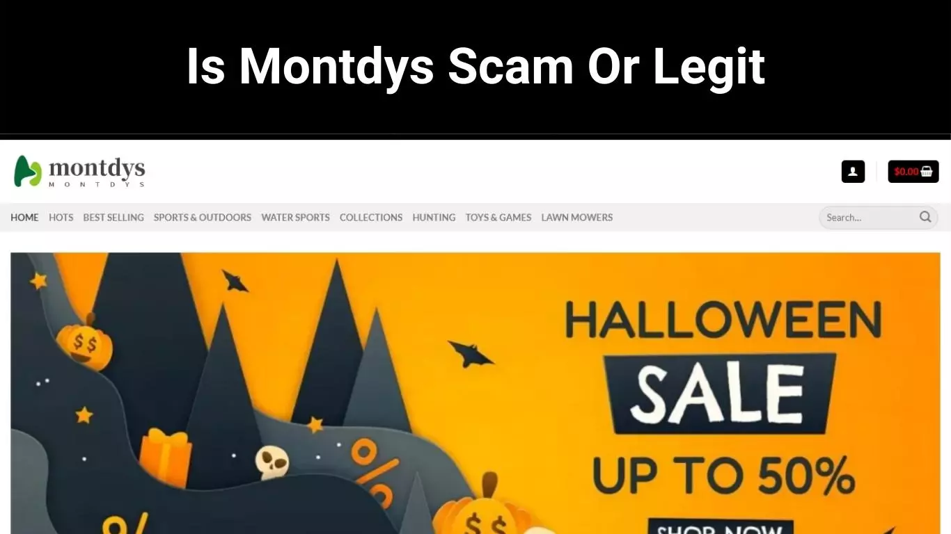 Is Montdys Scam Or Legit Check The Details Here!