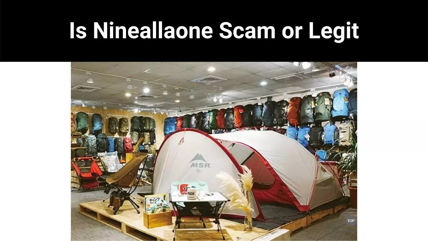 Is Nineallaone Scam or Legit