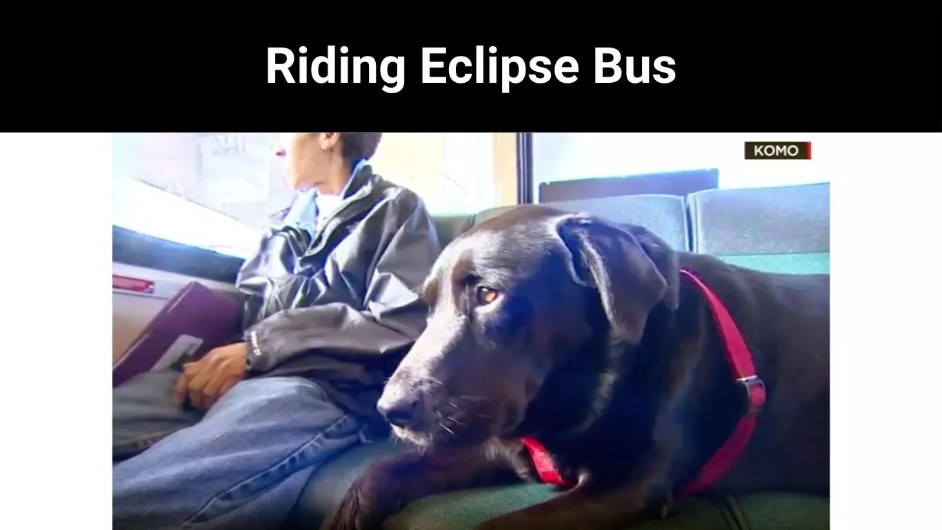 Riding Eclipse Bus