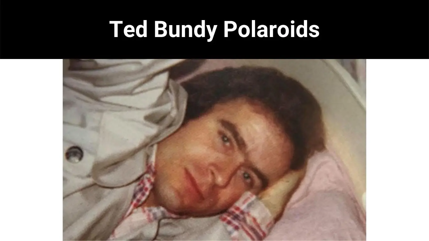 Ted Bundy Polaroids