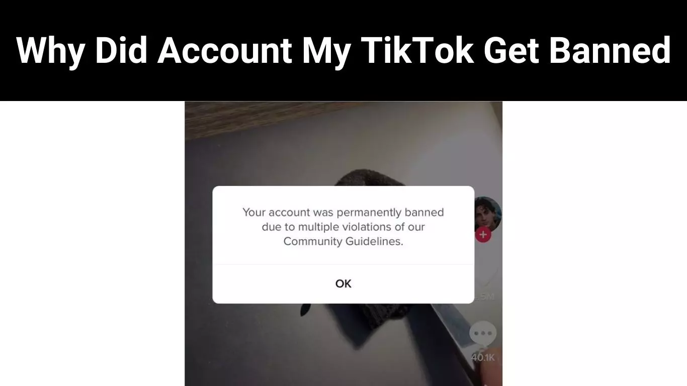 Why Did Account My TikTok Get Banned