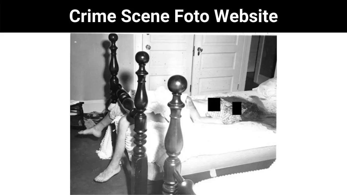 Crime Scene Foto Website