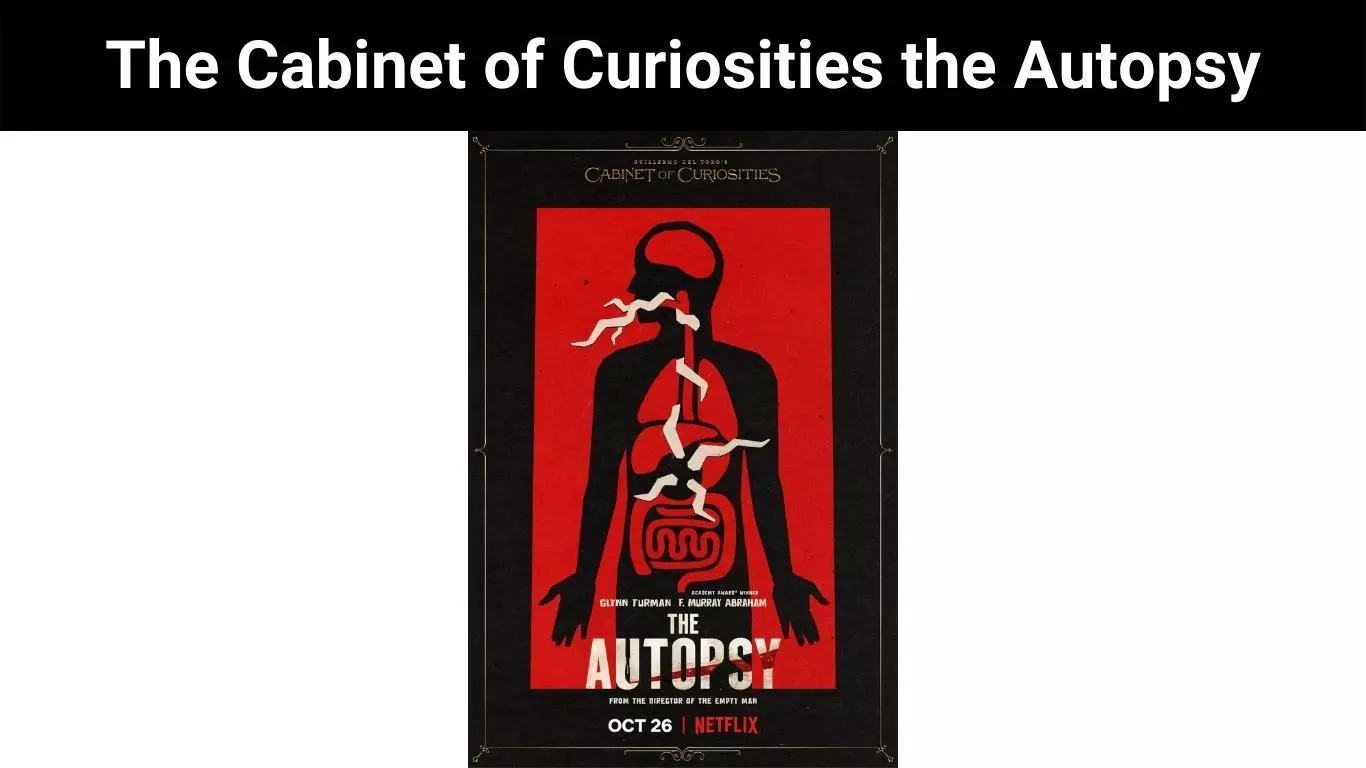 The Cabinet of Curiosities the Autopsy