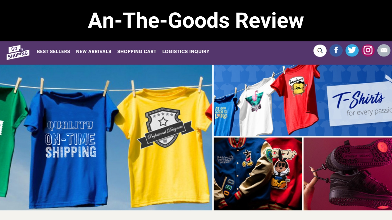 An-The-Goods Review