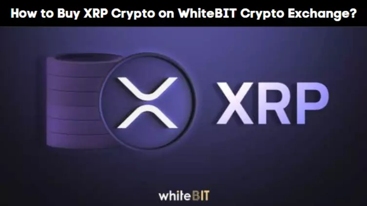 How to Buy XRP Crypto on WhiteBIT Crypto Exchange