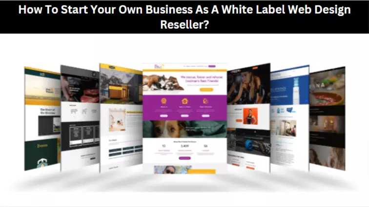 <strong>How To Start Your Own Business As A White Label Web Design Reseller?</strong>