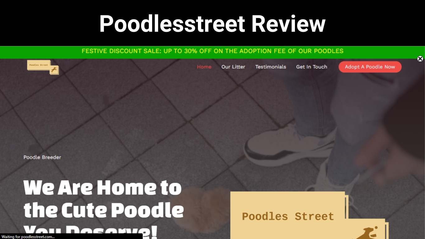 Poodlesstreet Review