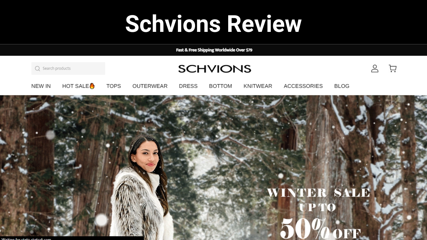 Schvions Review