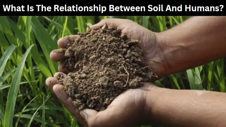 What Is The Relationship Between Soil And Humans