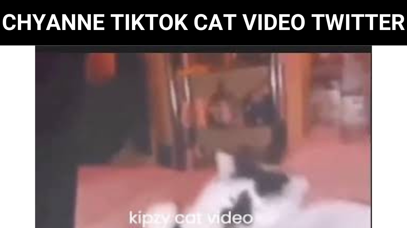 CHYANNE TIKTOK CAT VIDEO TWITTER