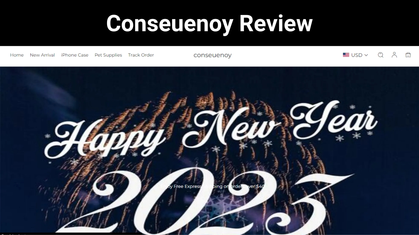 Conseuenoy Review