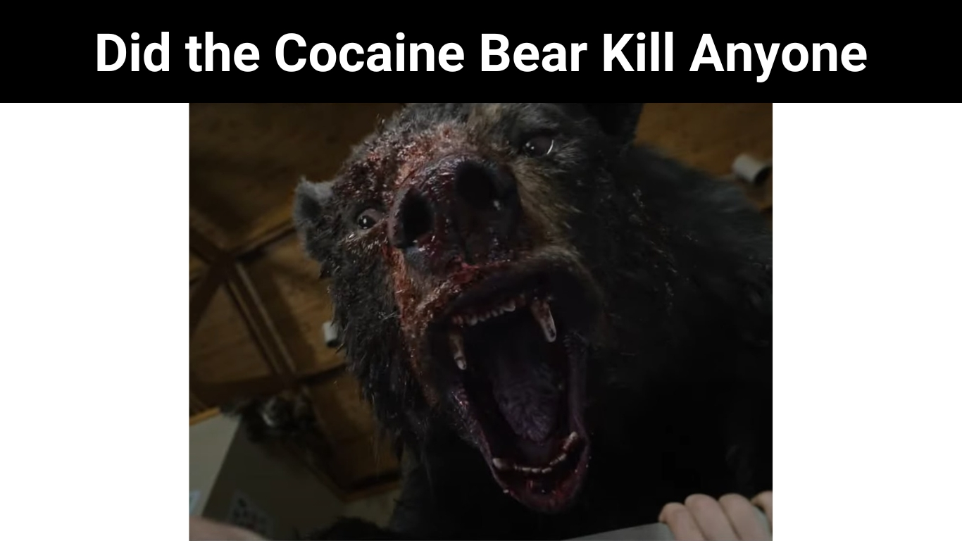 Did the Cocaine Bear Kill Anyone