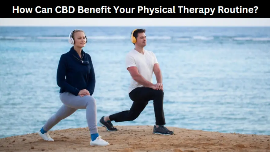 How Can CBD Benefit Your Physical Therapy Routine