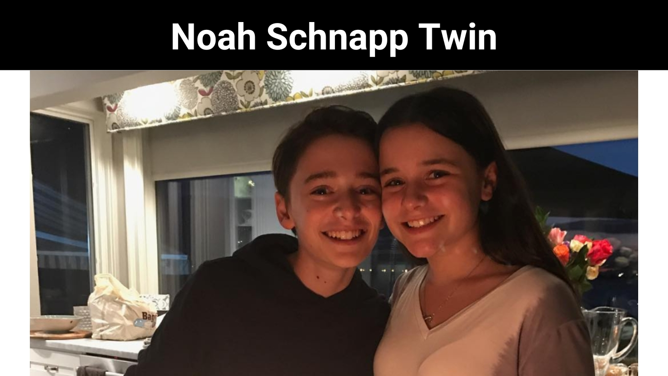 Noah Schnapp Twin