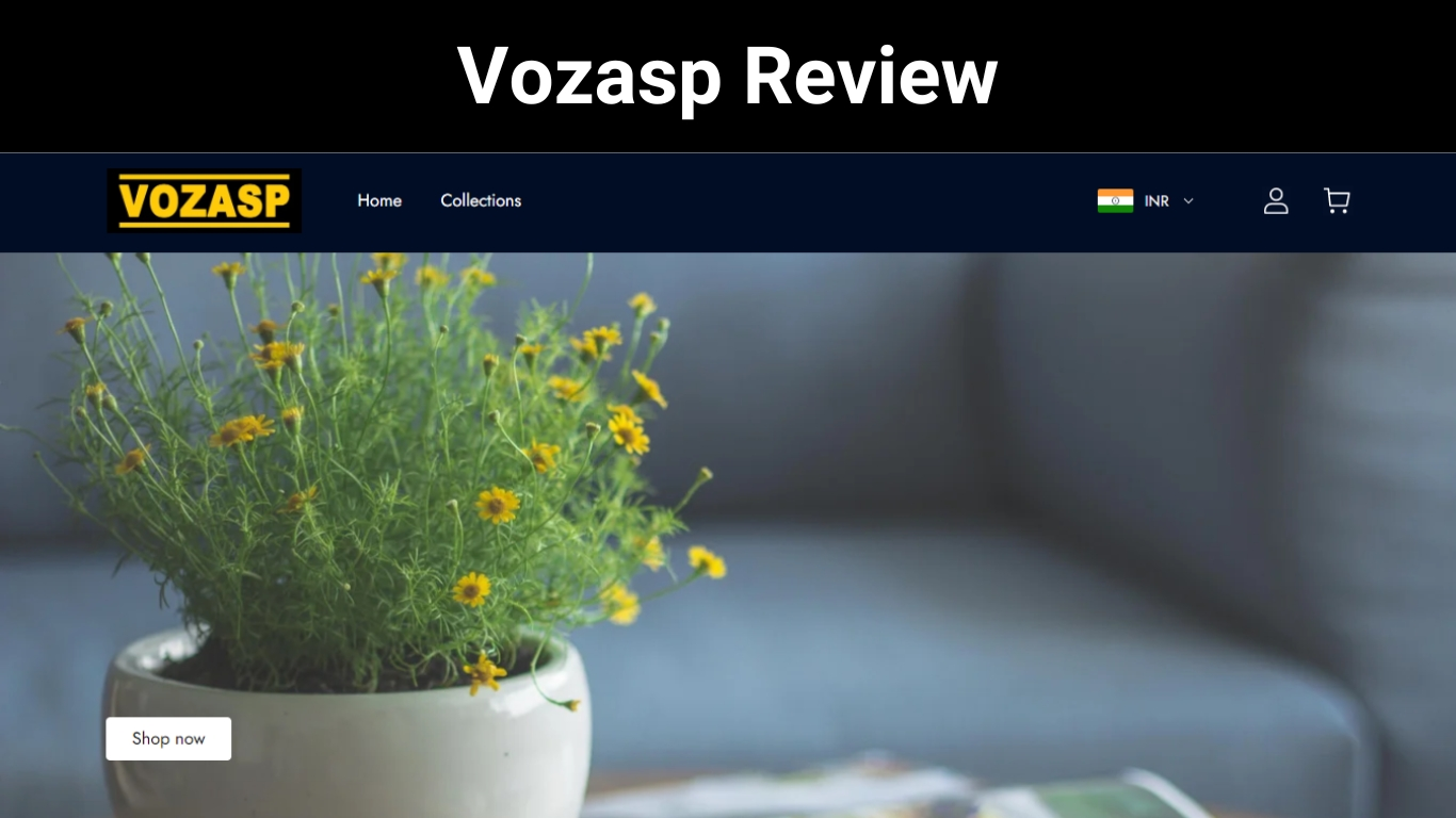 Vozasp Review
