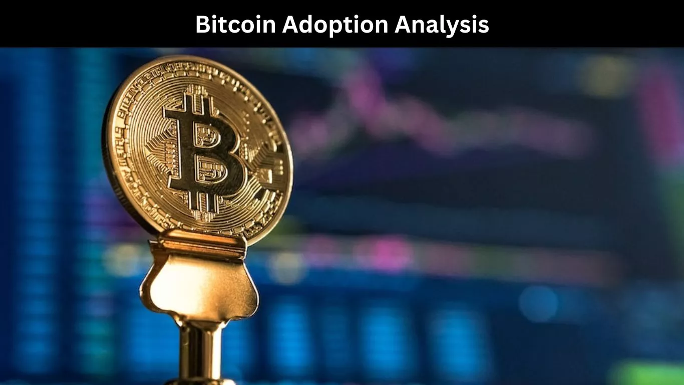 Bitcoin Adoption Analysis