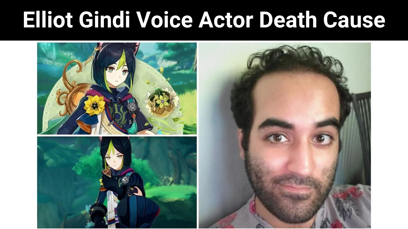 Elliot Gindi Voice Actor Death Cause