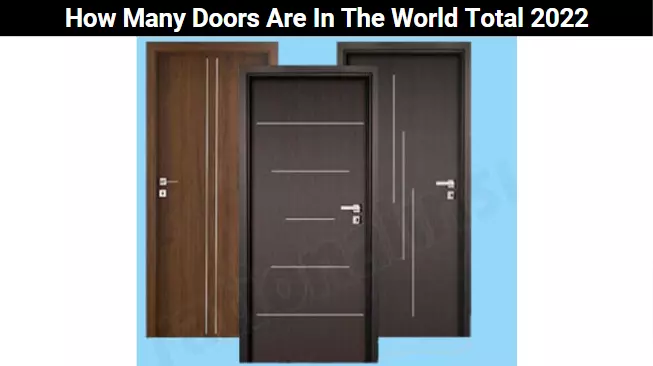 How Many Doors Are In The World Total 2022