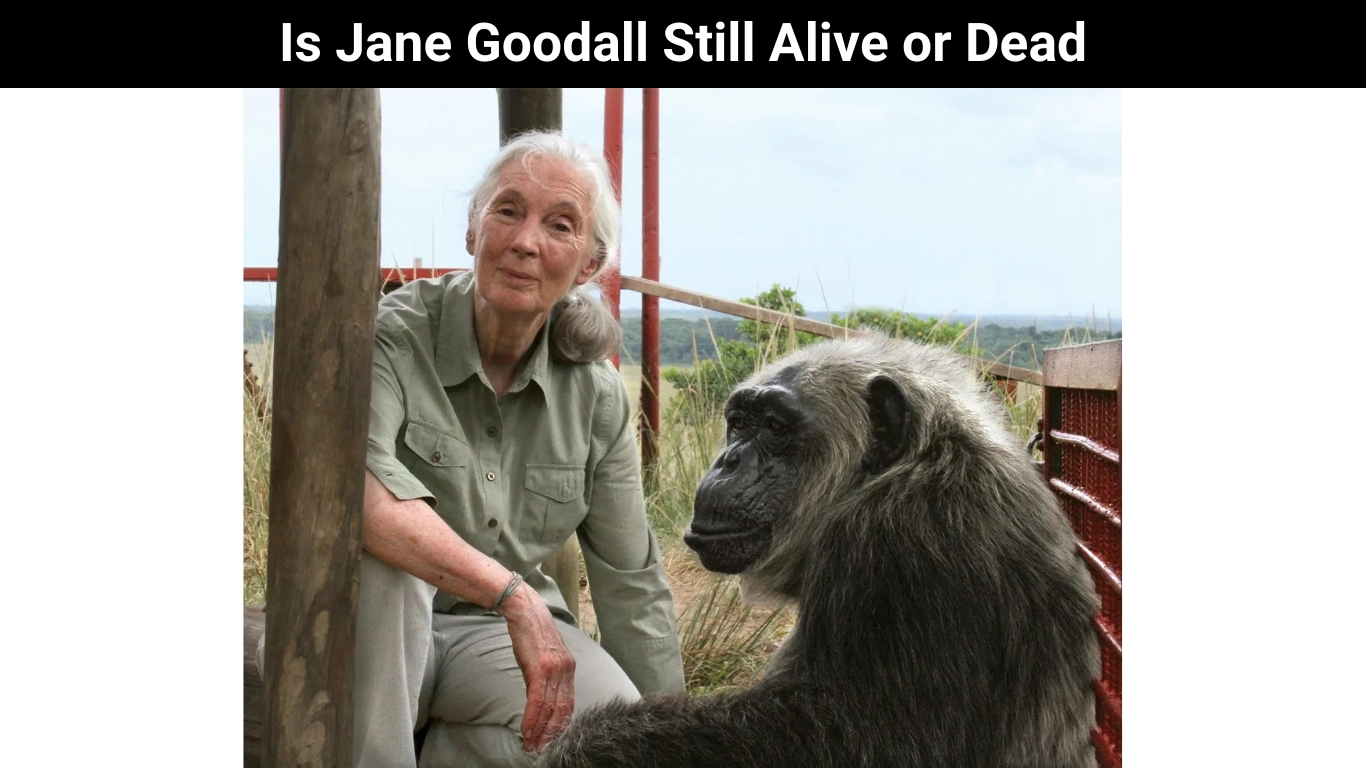 Is Jane Goodall Still Alive or Dead
