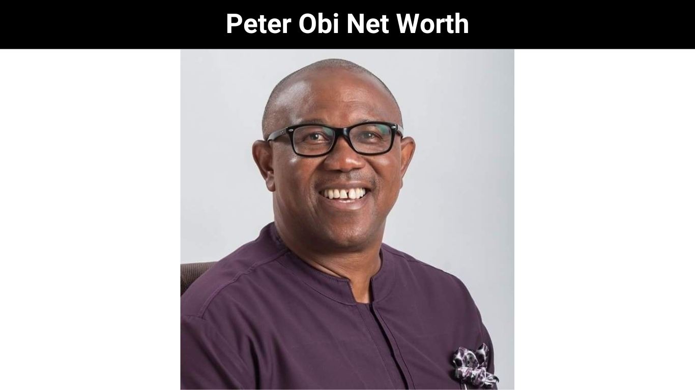 Peter Obi Net Worth