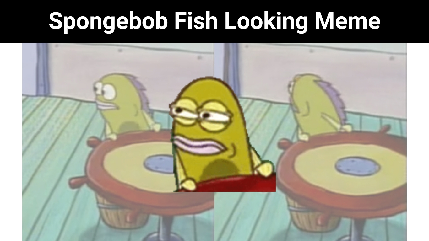 Spongebob Fish Looking Meme