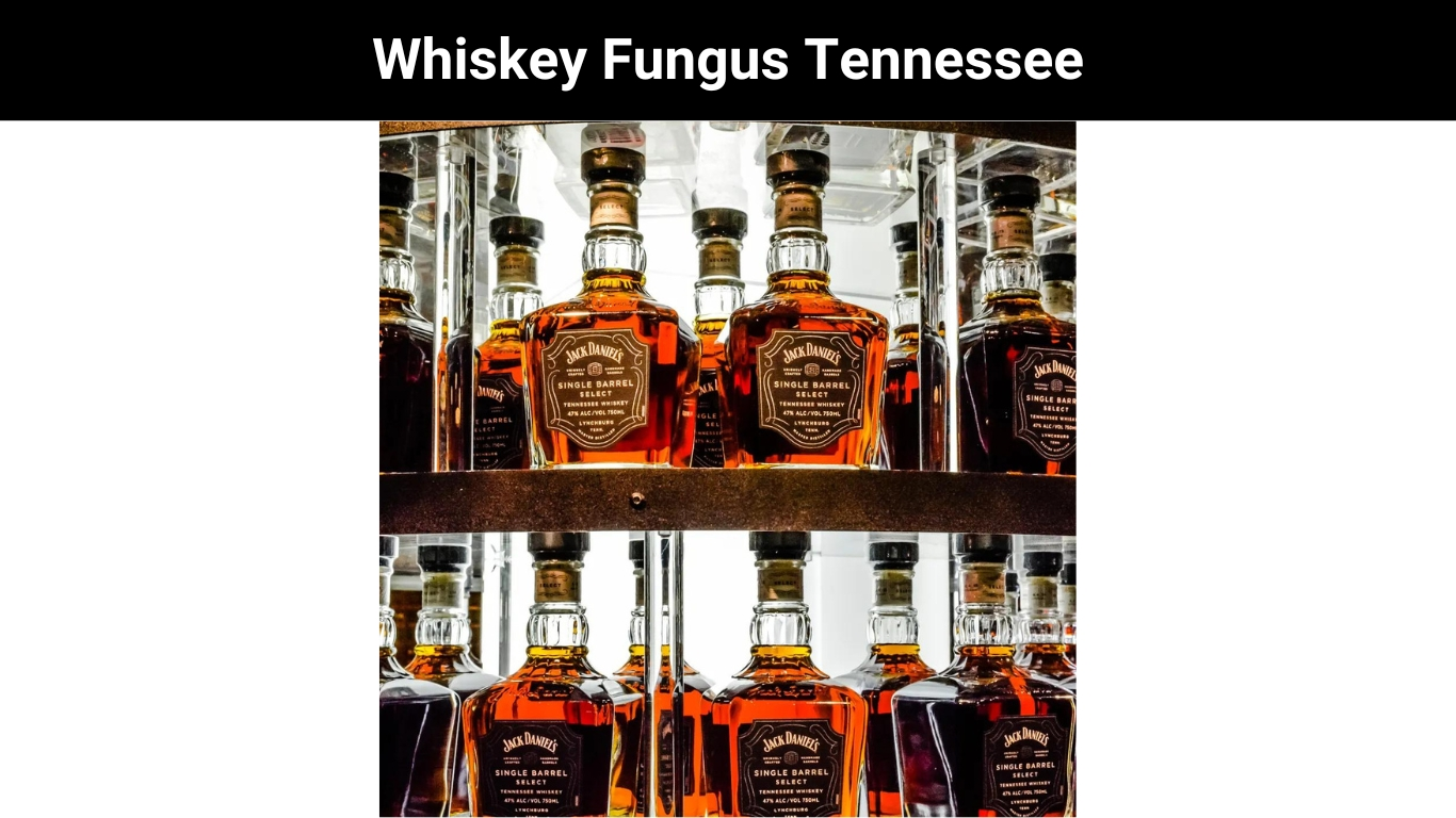 Whiskey Fungus Tennessee