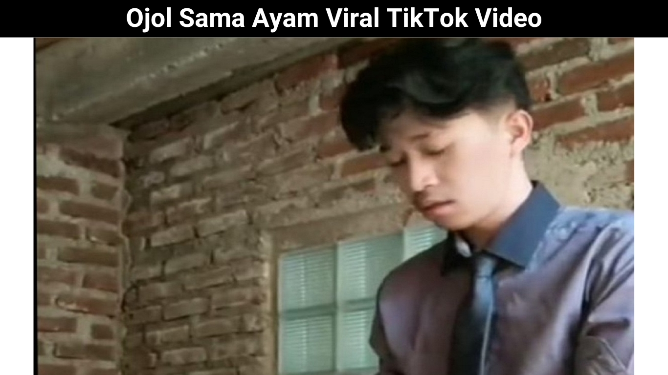 Ojol Sama Ayam Viral TikTok Video
