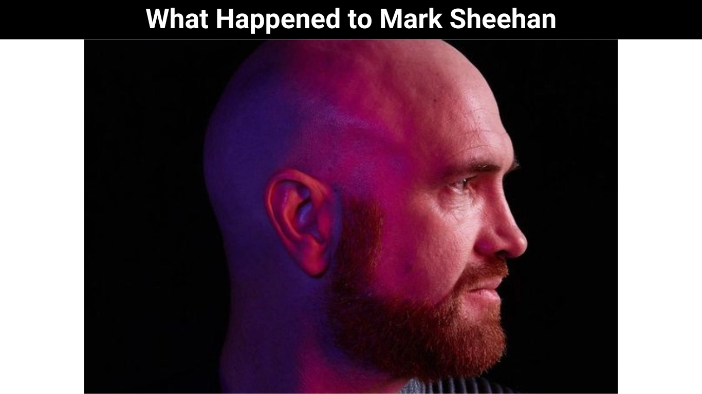 What Happened to Mark Sheehan
