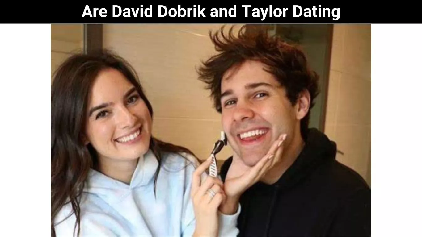 Are David Dobrik and Taylor Dating