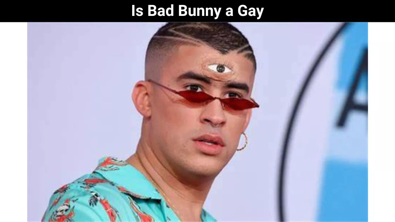 Is Bad Bunny a Gay