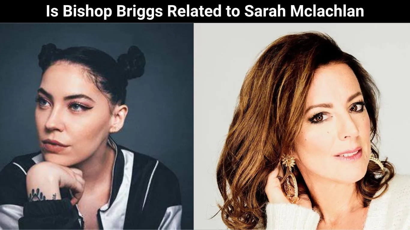 Is Bishop Briggs Related to Sarah Mclachlan