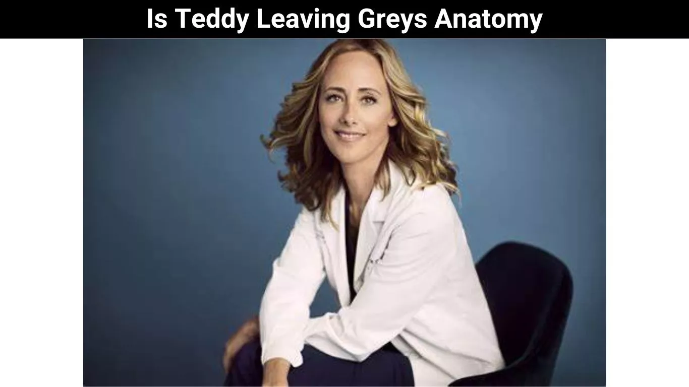 Is Teddy Leaving Greys Anatomy